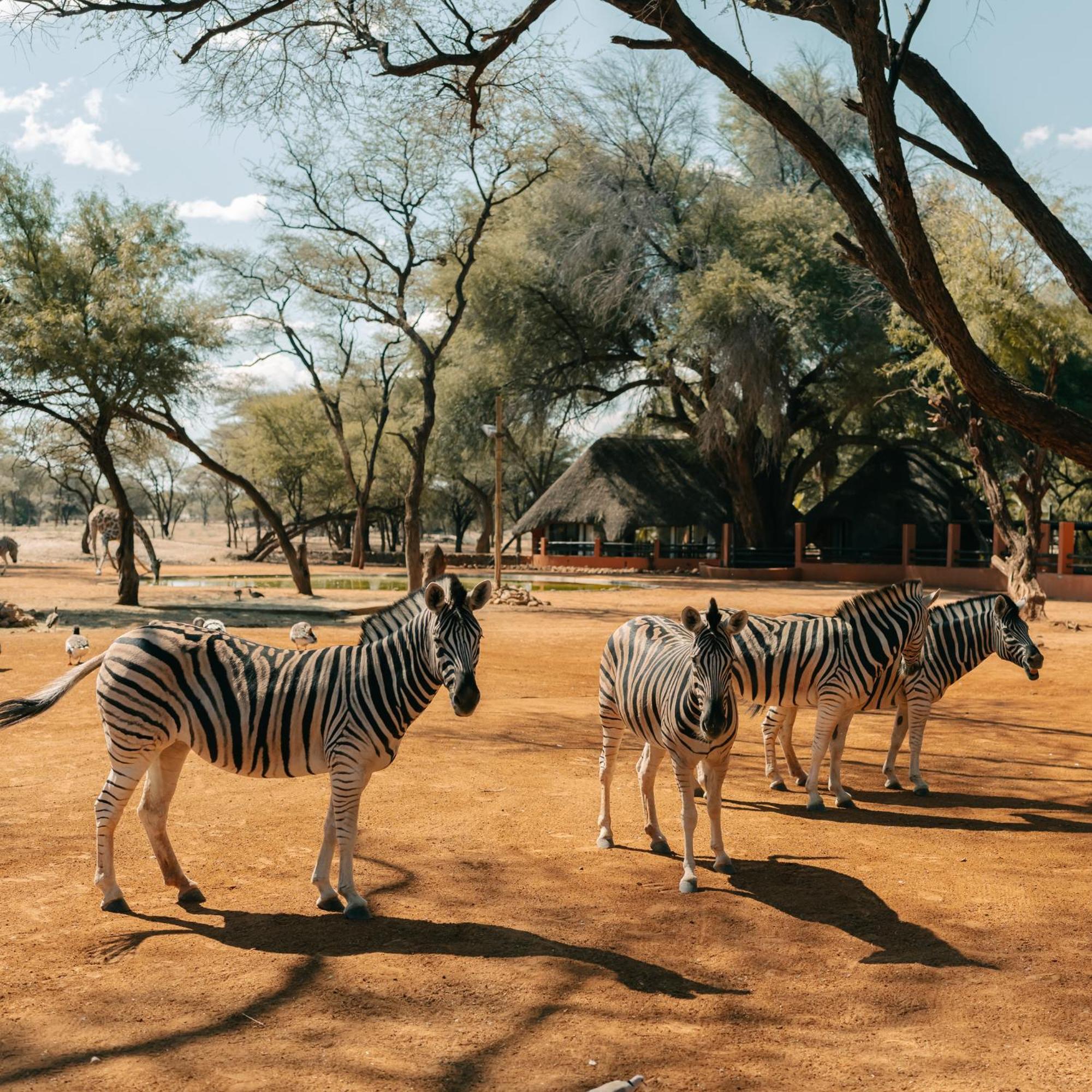 Omaruru Game Lodge Exteriör bild